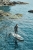 NA041025 - TIGER SHARK MULTITASK ISUP SET AQUAMARINE CAMO 10'2'' (4).jpg