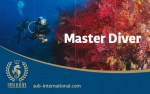 Brevet S.U.B. Master Diver/Taucher**