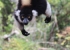 Madagaskar_Wildlife_13.jpg